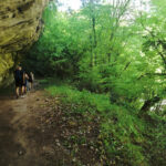 106A6A2791-8347-EA15-7A2D-84587E38F482