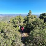 20231013-11023187C883EB-E6C0-5682-7BE3-DF860CA9AD0A