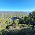 20231013-110715D16F0ACF-53AA-4FF6-C116-2D397B3D2FEF