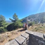 20231013-123417815F9EF6-D48C-7E25-3D7E-4B643E7816DC