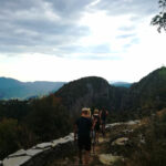 226B9A6D7-4E81-ECC4-3AD4-EA5DFE58C186