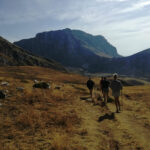 6B7B20D53-47E7-ED89-F075-93B4B921C072