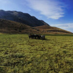 78987065E-111D-E28C-EFFE-1C1AD8F1EFB1