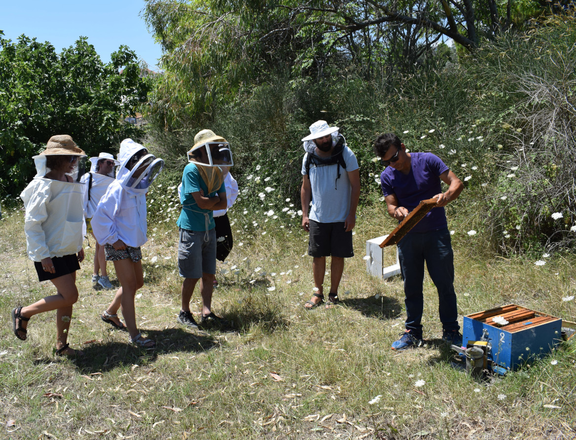 beekeeping