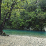 voidomatis-tree-low68A8CAA6-03DD-2741-E118-0CAC60DAFF50