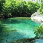 voidomatis503384FF-83BD-D814-D316-AA7690E8E12A