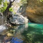 20230916-133458-2FDF91317-8B9E-AAC8-E3D1-25BC269D8535