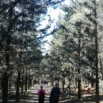 29074233B-4414-58F3-96D9-9B70B07AB927