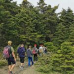 35B646647-3918-9F49-1490-9C4D143A35E1