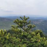 6D185B4E3-BE78-1BF1-ECA7-A283CEC60647